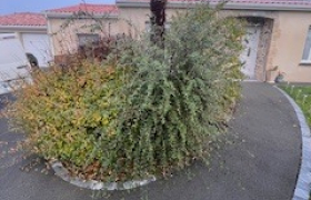 Élagueur à Les Herbiers