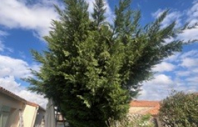 à Les Herbiers