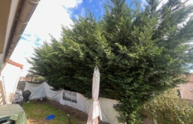 à Les Herbiers